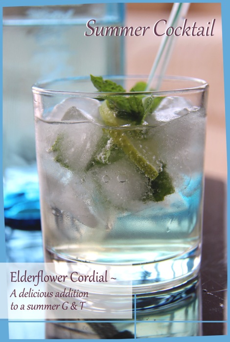 Elderflower Cordial with gin & mint A Recipe for Gluttony blog